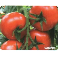 SANPOL F.1   250 szem