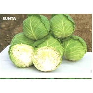 Sunta F.1   2.500 szem