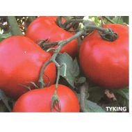 TYKING F.1   1.000 szem