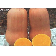 UG 205  F.1.   100 szem