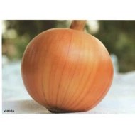 Vuelta F.1   250.000 szem