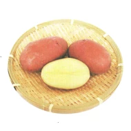 Balatoni rózsa   40 szem