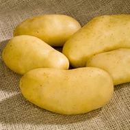 Louisana    50 szem