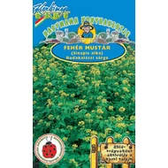 Mustár  fehér   1,000 gr