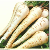 Fertődi félhosszú    50 gr