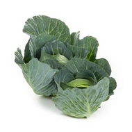 Swingma  RZ  F.1.   2,500 szem Swingma  RZ  F.1.   2,500 szem