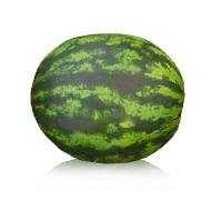 Morgan RZ  F.1.     100 szem