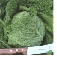 Salima RZ F.1 (precíziós)   2.500 szem