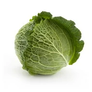 Predzvest    1,000 szem