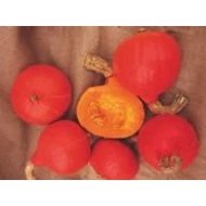 Hokkaido Orange   100 gr