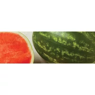 Fascination  F.1.   1,000 szem