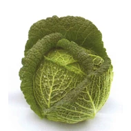 Nebraska  F.1.   2.500 szem