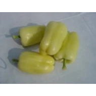 Albaregia  1,000 szem