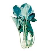 Kref  F.1.   2.500 szem