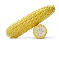 Caramelo F.1.  5000 szem