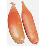 Sonkahagyma   250.000 szem