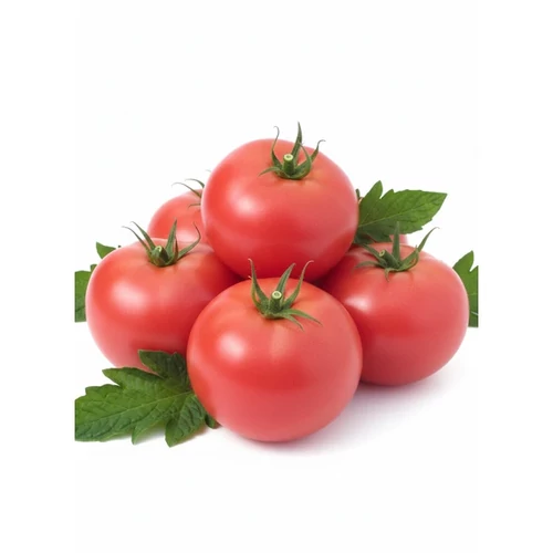 Carnea  F.1.    500 szem