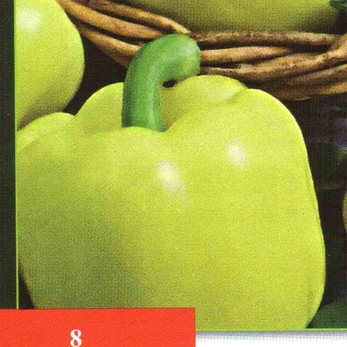 Andreika   2,000 szem