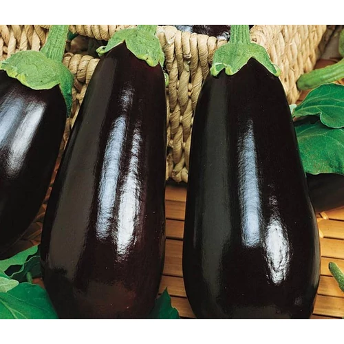 Eclipse  F.1.   500 szem