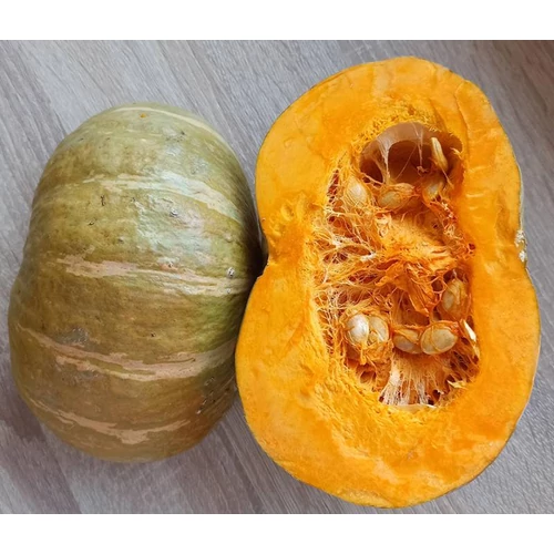 Giselle  F.1.    100 szem