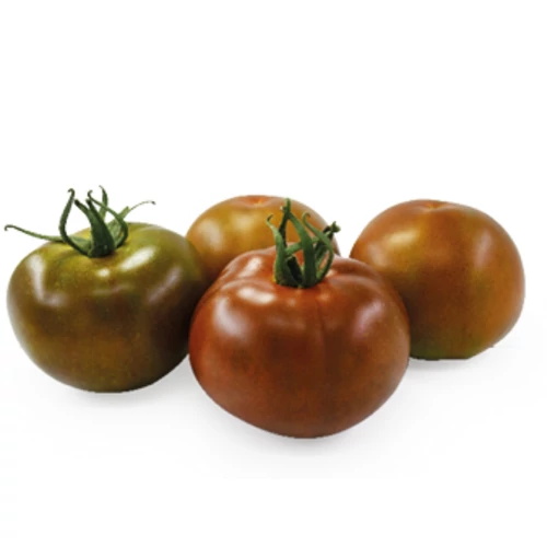 Bruno  F.1.    100 szem