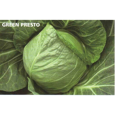 GREEN PRESTO F.1   2.500 szem