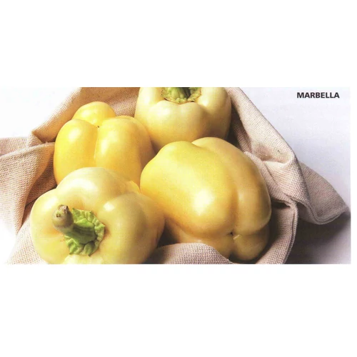 MARBELLA F.1    500 szem