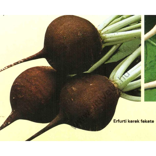 Kerek fekete   50 gr