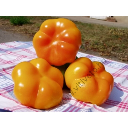 Szentesi sárga paradicsompaprika   50  gr