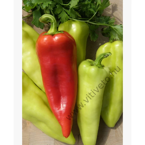 Szentesi piacos  1,000 szem
