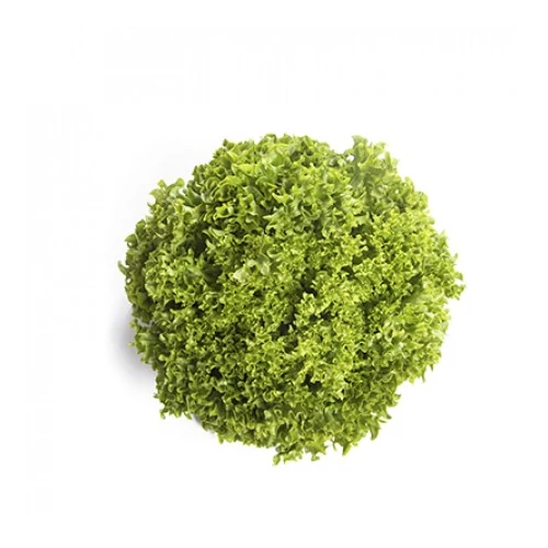 VINDICATE RZ (79-858) Knox™  1,000 szem   pill.