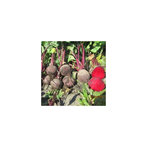Betina  50 gr