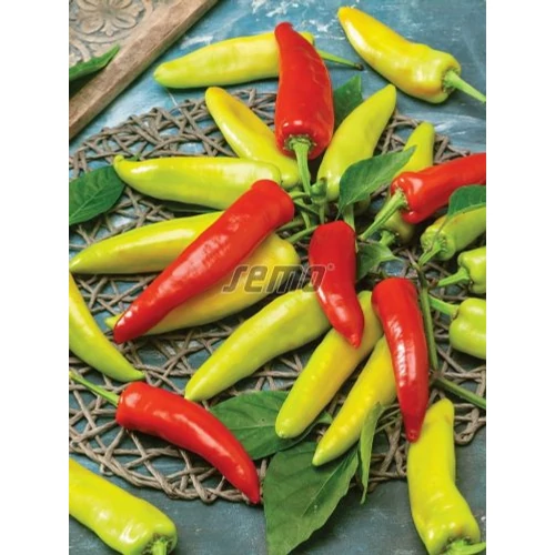 Srilanus  F.1.    500 szem