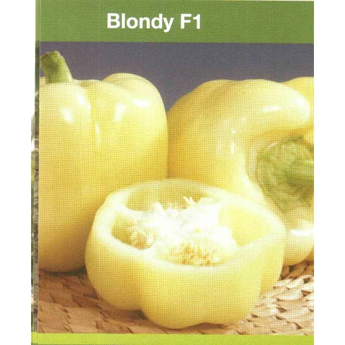 Blondy  F.1.    500 szem