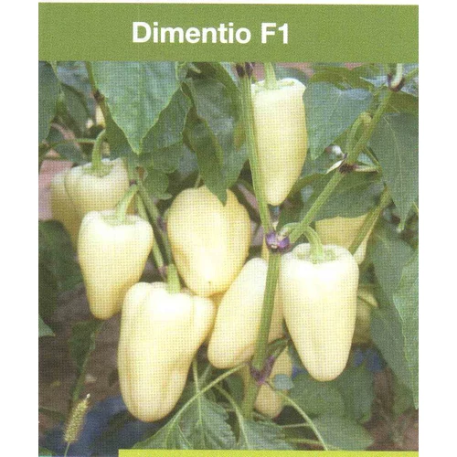 Dimentio  F.1.   500 szem
