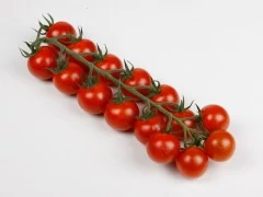 Robagino  F.1.   100 szem