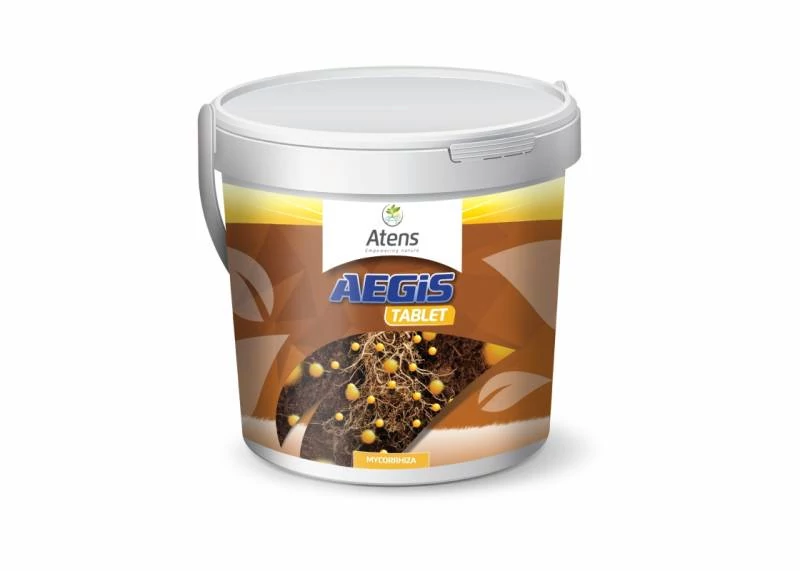 Aegis Tabletta    10 db