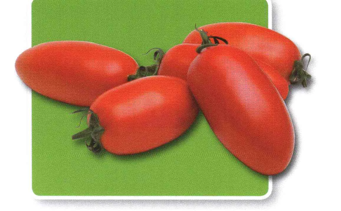 Cardyna  F.1.  250 szem