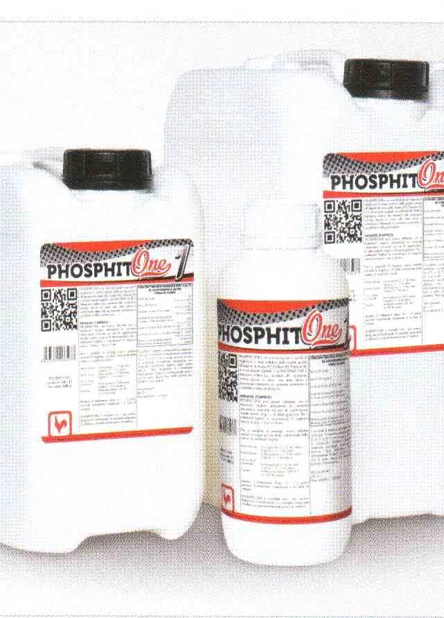 Phosphit-One    1/1 l