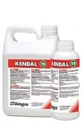 Kendal  TE   1 l