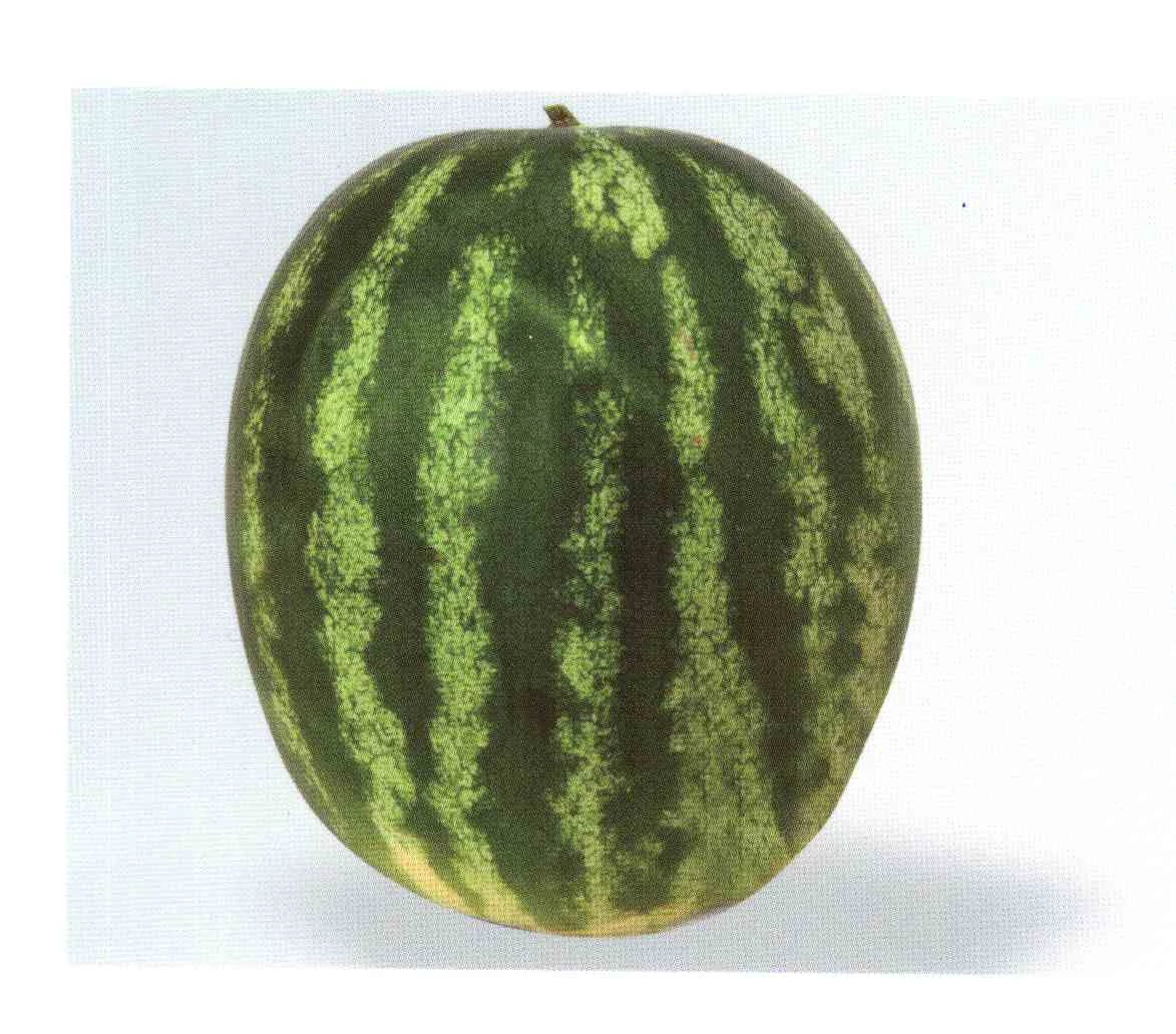 Admira F.1   1.000 szem
