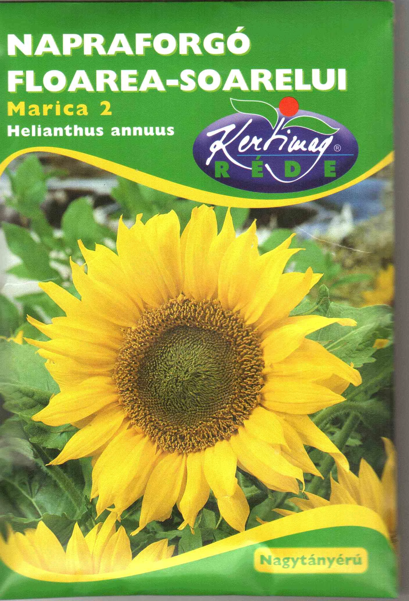 Napraforgó Marica 2   15 gr