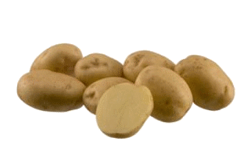 Riviera   50 szem