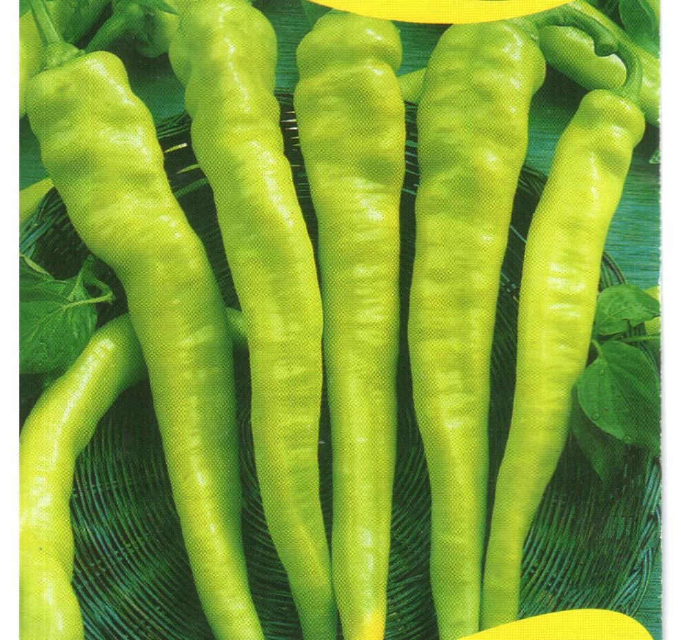 Szentesi kosszarvú   5 gr